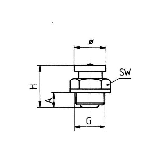 Flachschmiernippel M1 1/4" WW, 16 mm Kopf, SW 17,