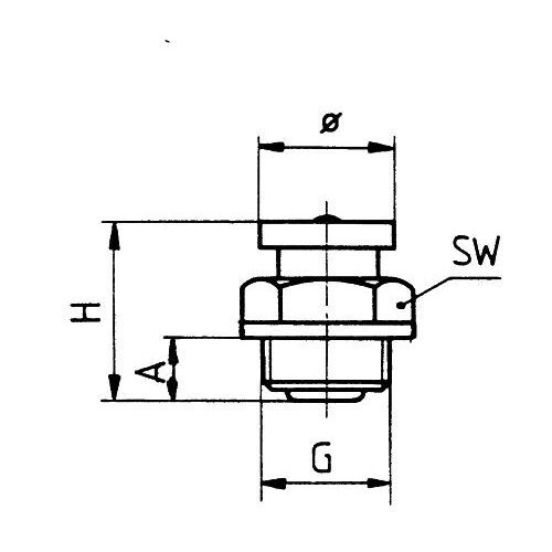 Flachschmiernippel M1 G 1/8", 16 mm Kopf, SW 17, D