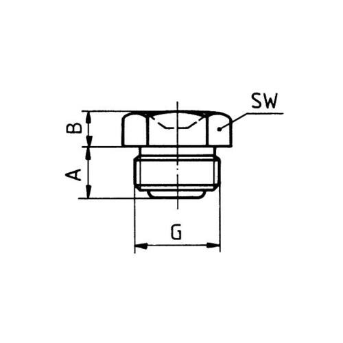 Trichter Schmiernippel D1 G 1/4 " , SW 14, DIN 340