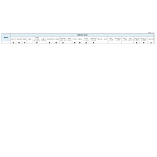 Chemiepumpe aus PVC und PE, mit Heberwirkung 10 L/